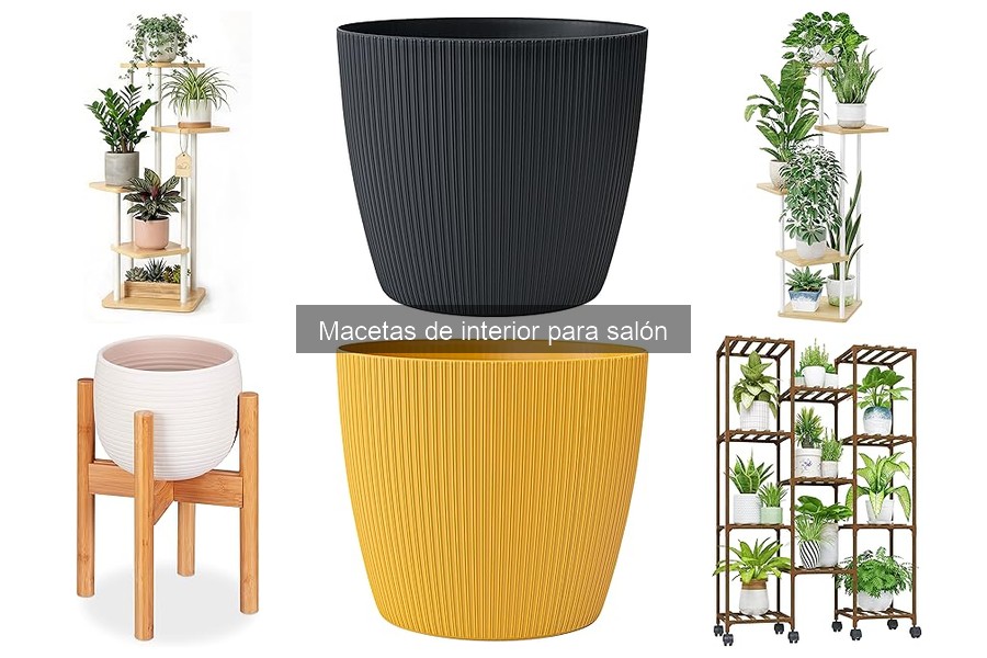 Cómo Cuidar Plantas en Macetas de Interior: Guía Práctica