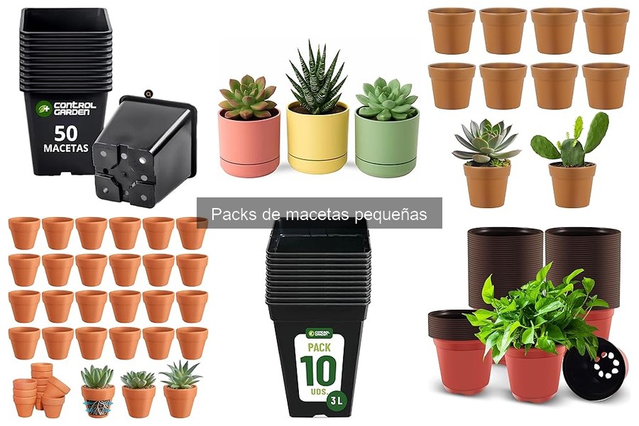 Cómo cuidar plantas en packs de macetas pequeñas