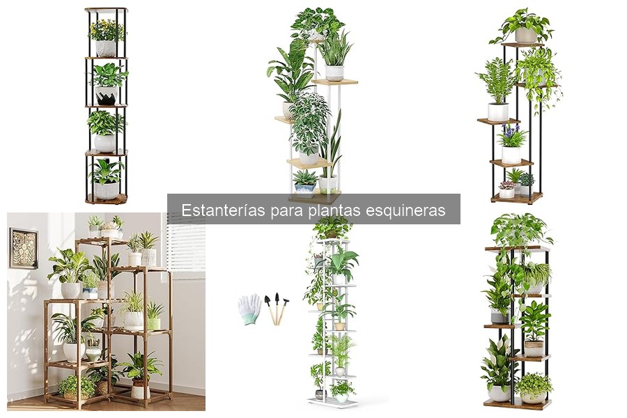 Cómo cuidar tus estanterías para plantas esquineras