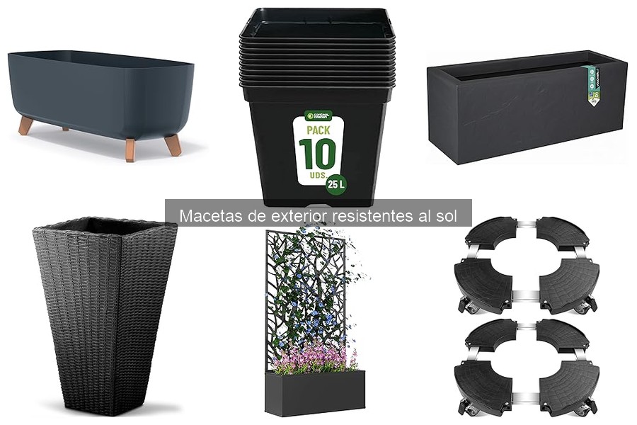 Cómo cuidar tus macetas de exterior resistentes al sol