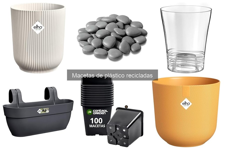 Cómo cuidar tus macetas de plástico recicladas correctamente