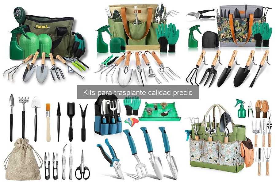Cómo cuidar un kit de trasplante: consejos prácticos