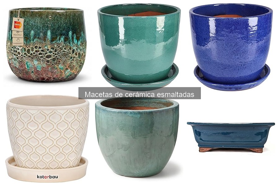 Cómo cuidar y mantener macetas de cerámica esmaltadas