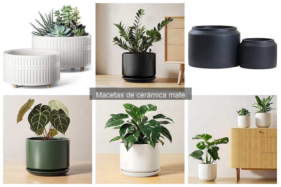Cómo cuidar y mantener macetas de cerámica mate