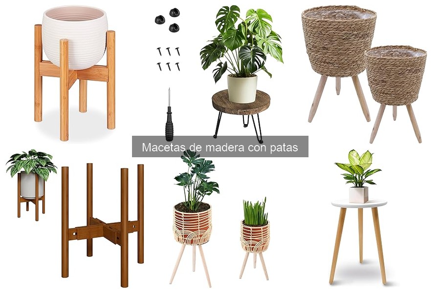 Cómo cuidar y mantener macetas de madera con patas