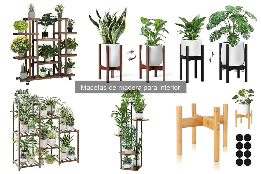 Cómo cuidar y mantener macetas de madera para interior