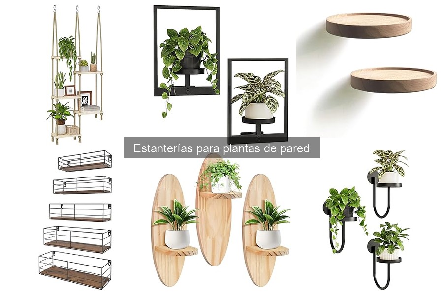 Cómo cuidar y mantener tu estantería para plantas de pared