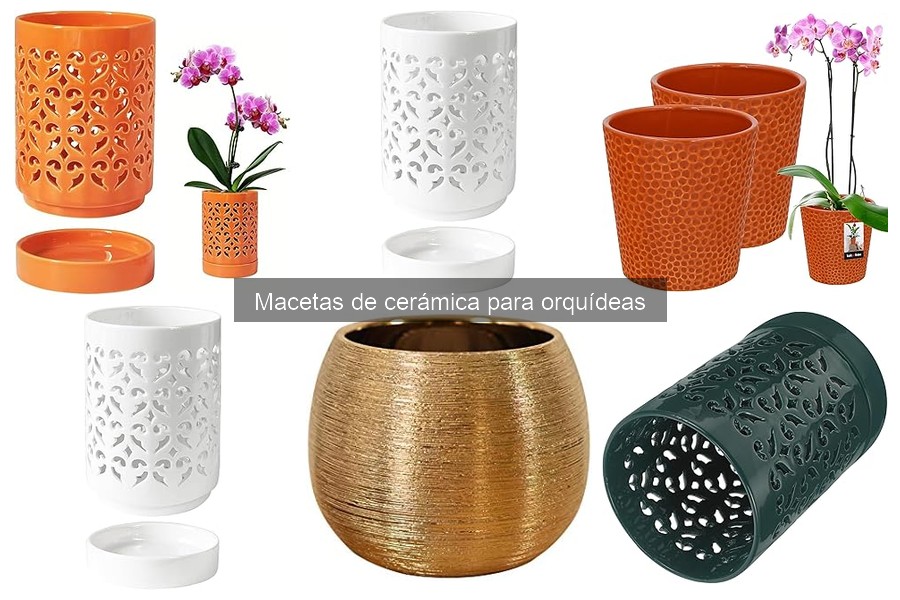 Cómo cultivar orquídeas en macetas de cerámica