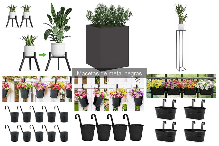 Cómo el Tamaño de las Macetas de Metal Negras Afecta las Plantas