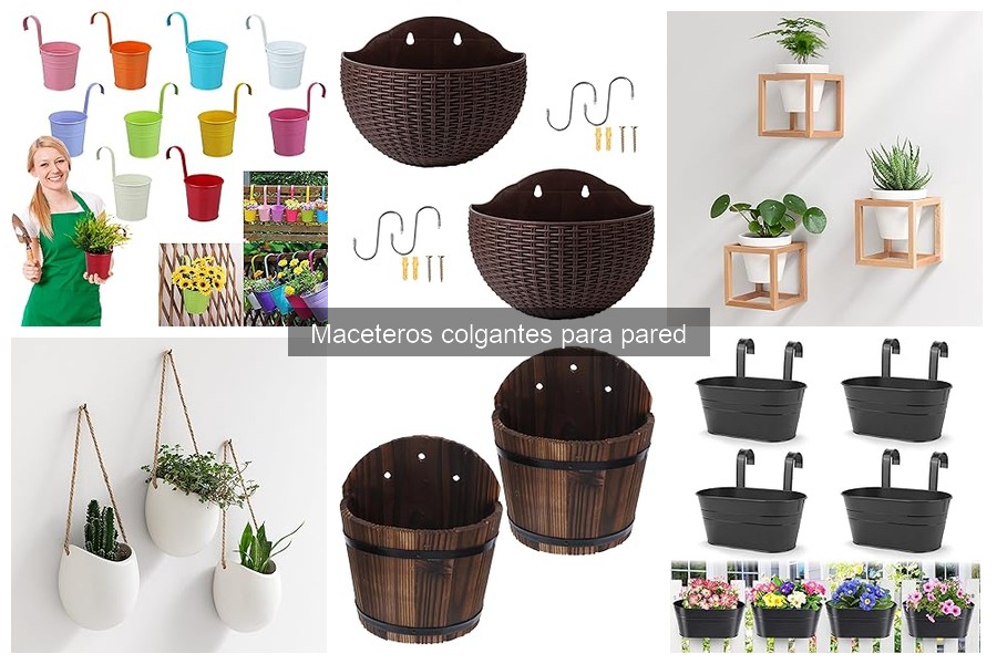 Cómo elegir el macetero colgante perfecto para tu hogar