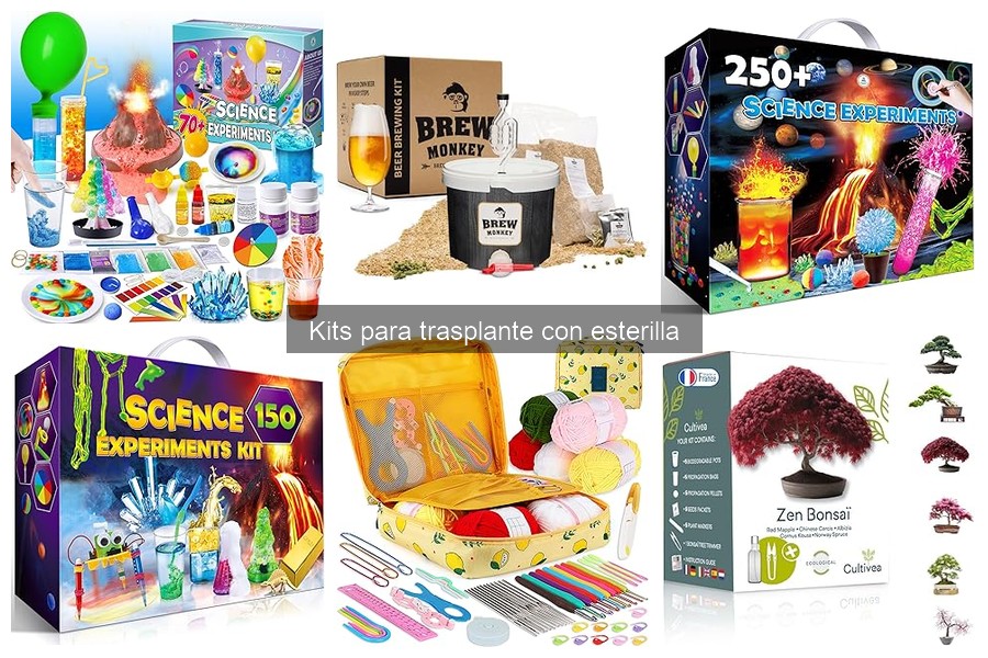 Cómo elegir el mejor kit de trasplante con esterilla