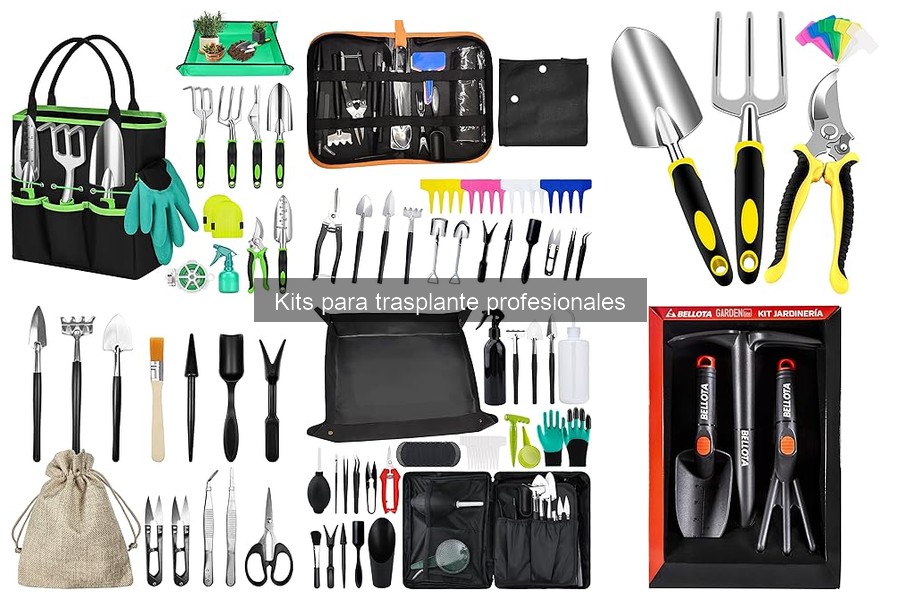 Cómo elegir el mejor kit de trasplante profesional