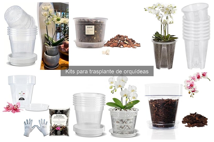Cómo elegir el mejor kit para trasplante de orquídeas