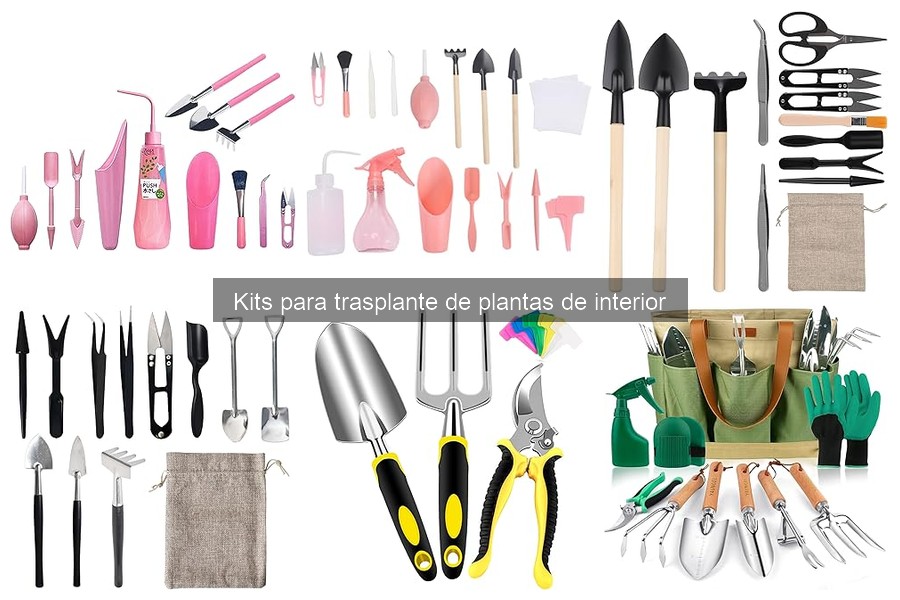 Cómo Elegir el Mejor Kit para Trasplante de Plantas de Interior