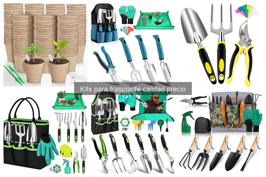 Cómo elegir el mejor kit para trasplante de plantas
