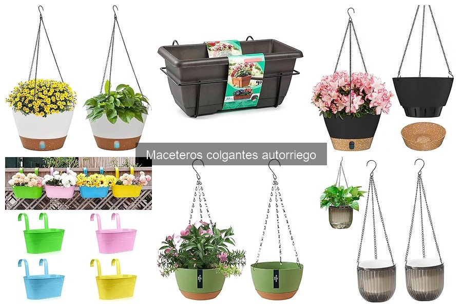 Cómo elegir el mejor macetero colgante autorriego