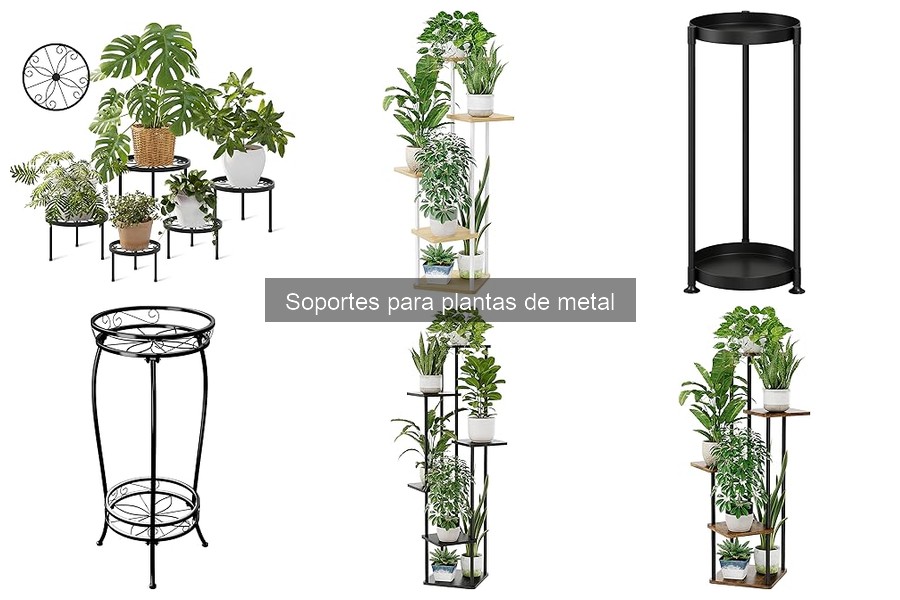 Cómo elegir el mejor soporte de metal para plantas