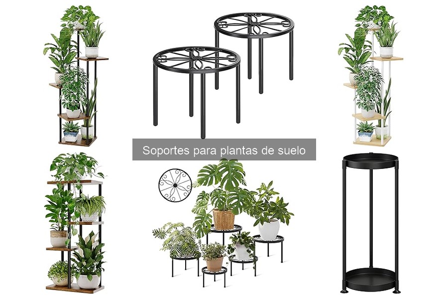Cómo elegir el mejor soporte para plantas de suelo