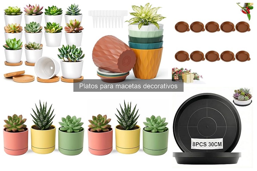 Cómo elegir el plato adecuado para tu maceta decorativa