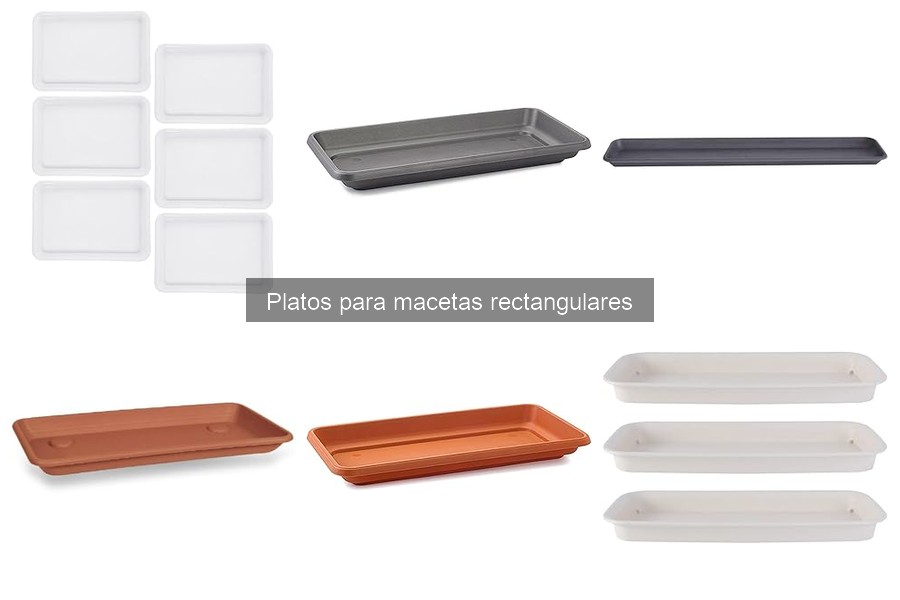 Cómo elegir el plato adecuado para tu maceta rectangular