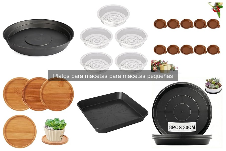 Cómo Elegir el Plato Ideal para Macetas Pequeñas