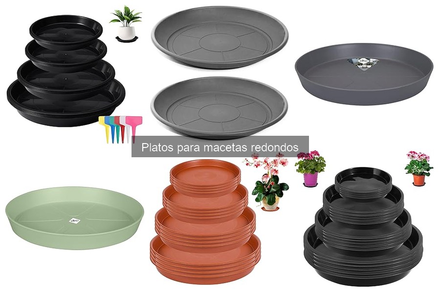 Cómo elegir el plato ideal para macetas redondas