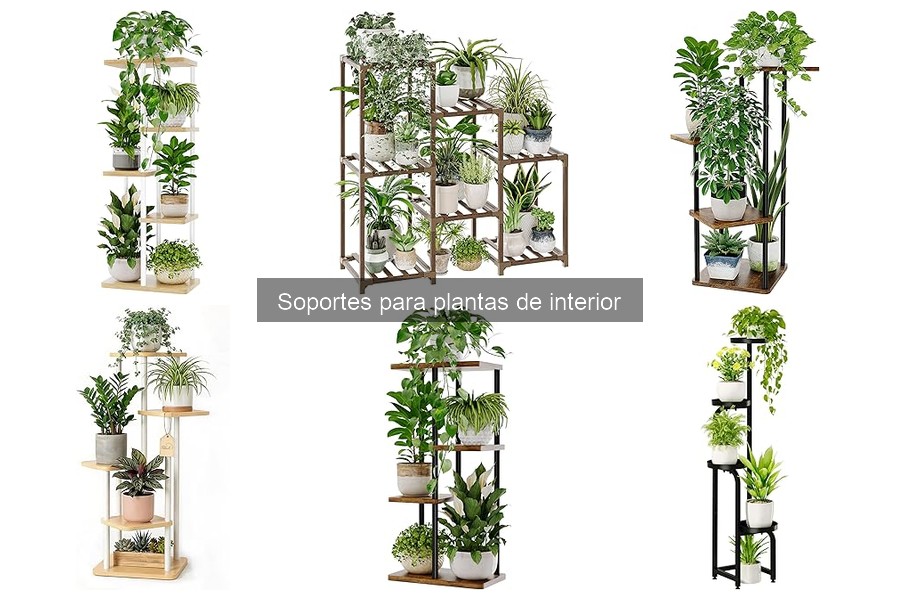 Cómo Elegir el Soporte Perfecto para Plantas de Interior
