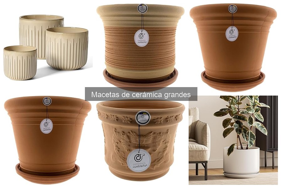 Cómo elegir el tamaño adecuado de macetas de cerámica grandes