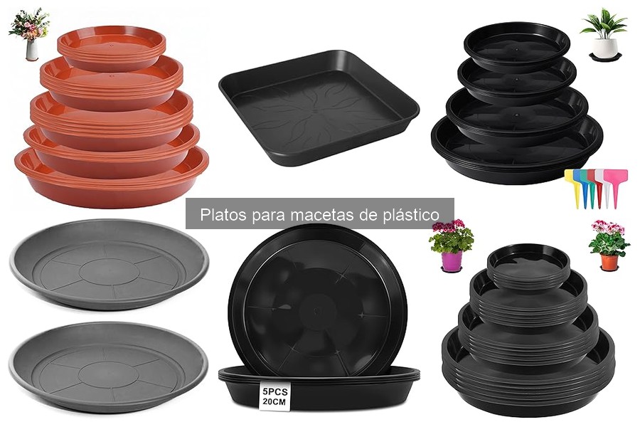 Cómo elegir el tamaño ideal de platos para macetas