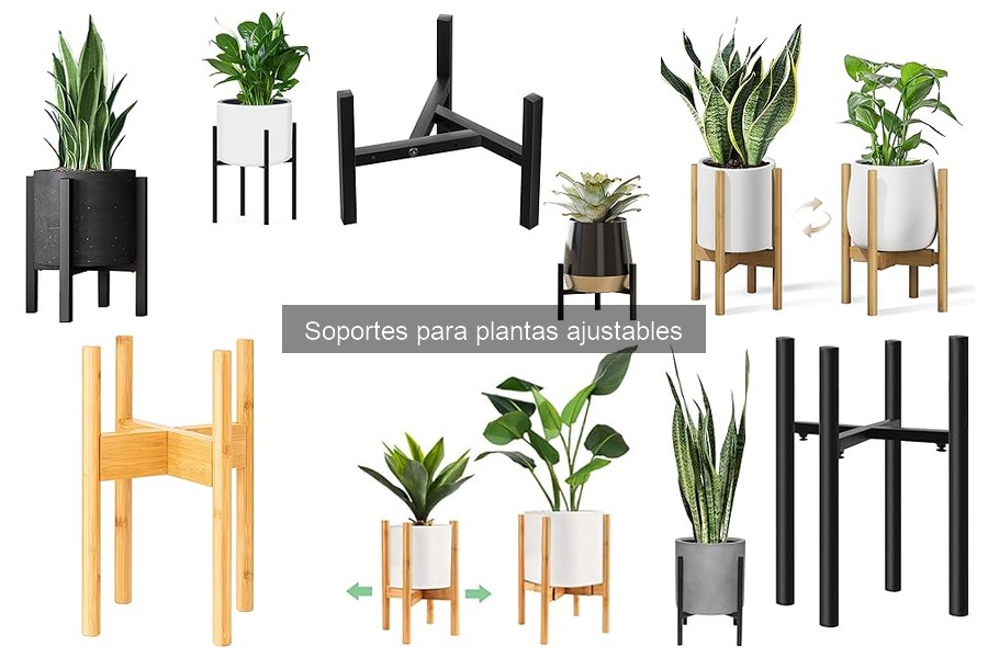 Cómo elegir el tamaño ideal de soportes para plantas ajustables