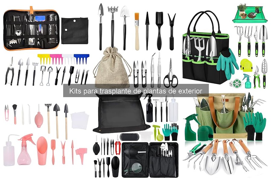 ¿Cómo elegir el tamaño ideal de un kit de trasplante?