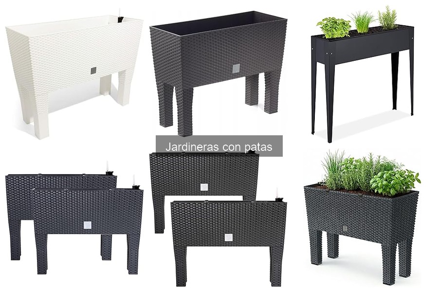 Cómo Elegir Jardineras con Patas para Cada Tipo de Planta