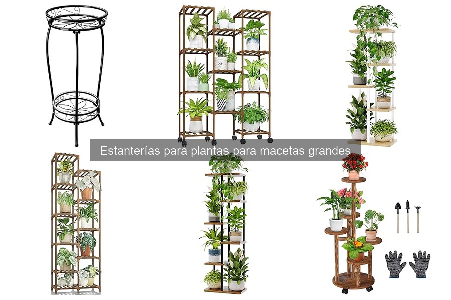Cómo elegir la estantería adecuada para plantas grandes