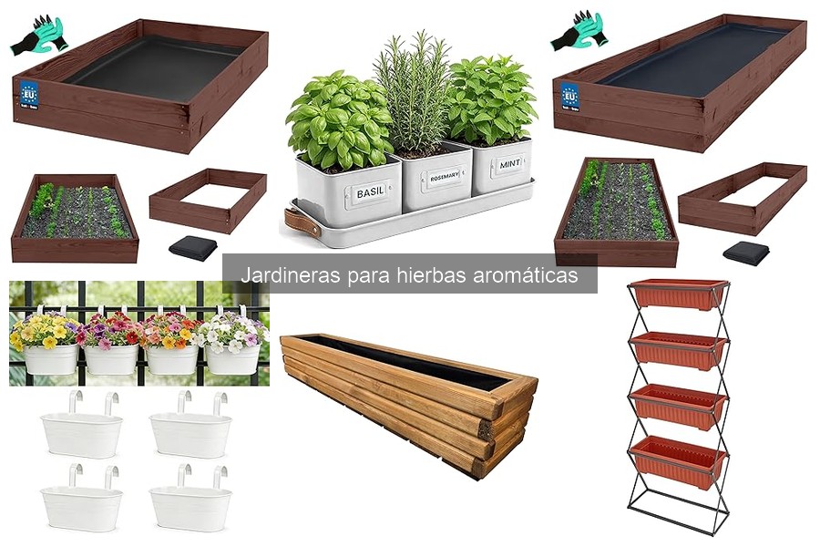 Cómo elegir la jardinera ideal para hierbas aromáticas