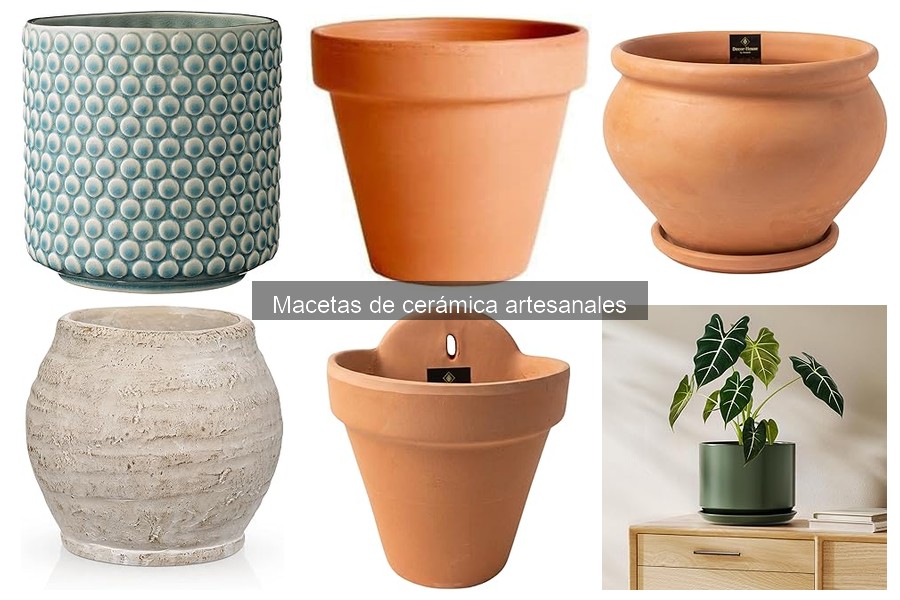 Cómo elegir la maceta de cerámica artesanal adecuada