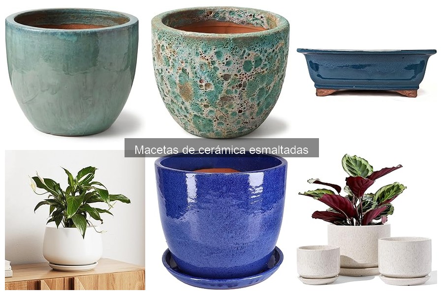Cómo elegir la maceta de cerámica esmaltada perfecta