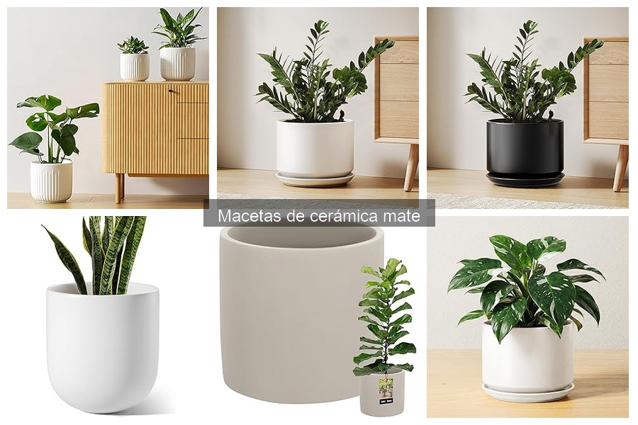 Cómo elegir la maceta de cerámica mate adecuada