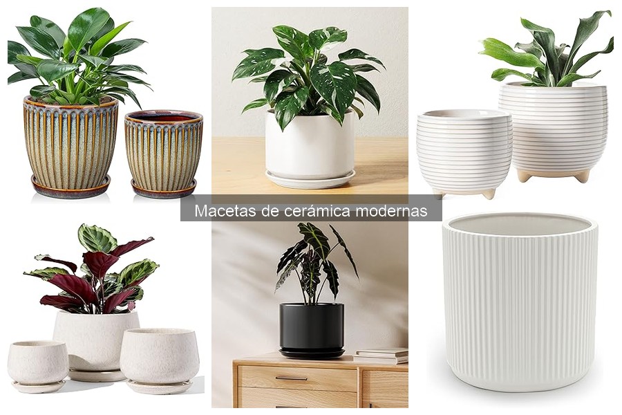 Cómo elegir la maceta de cerámica moderna perfecta