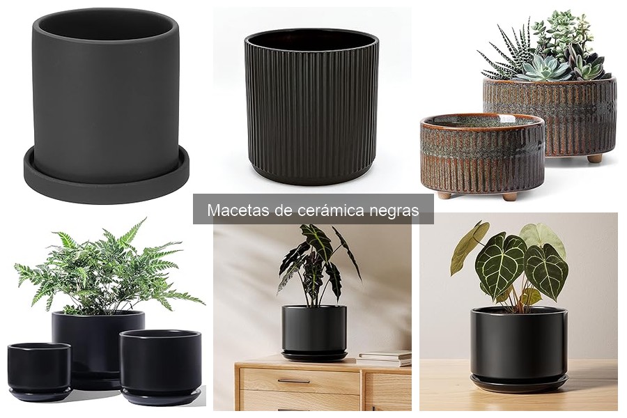 Cómo elegir la maceta de cerámica negra adecuada