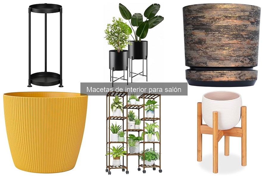 Cómo elegir la maceta de interior perfecta para tu salón