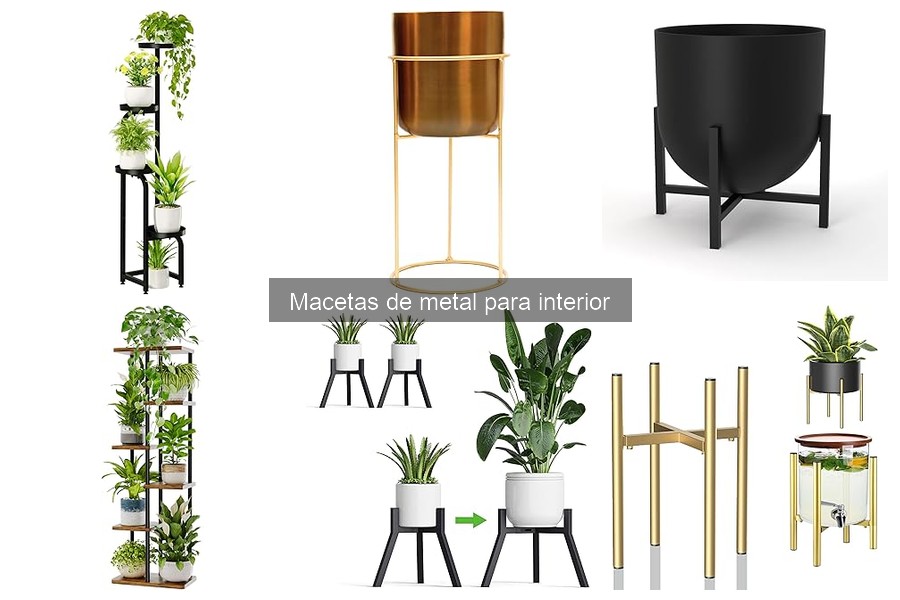 Cómo elegir la maceta de metal perfecta para tus plantas