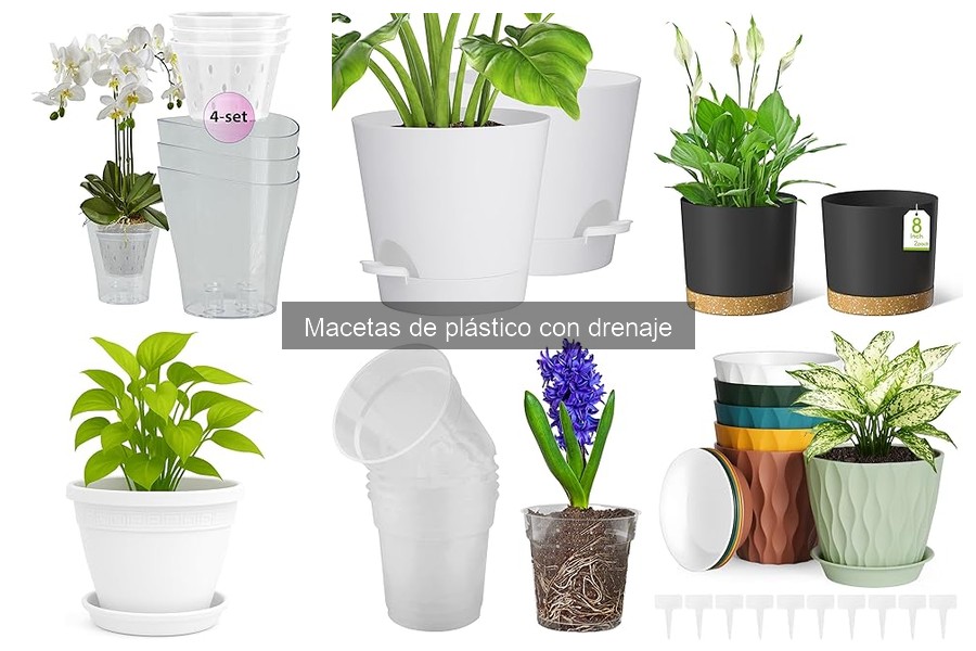 Cómo elegir la maceta de plástico con drenaje perfecta