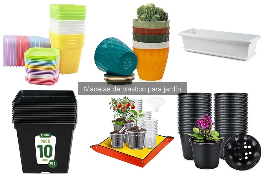Cómo elegir la maceta de plástico ideal para tus plantas