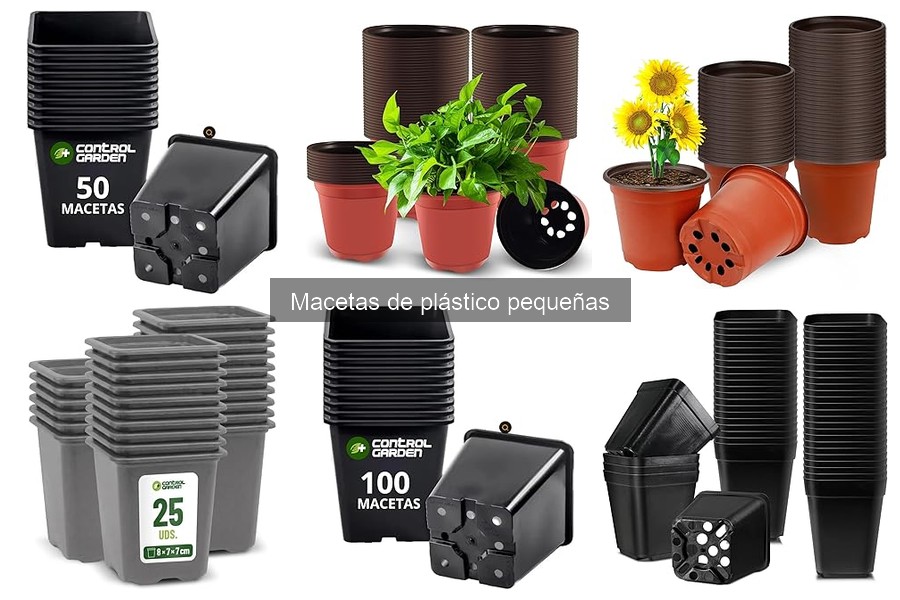Cómo elegir la maceta de plástico pequeña perfecta