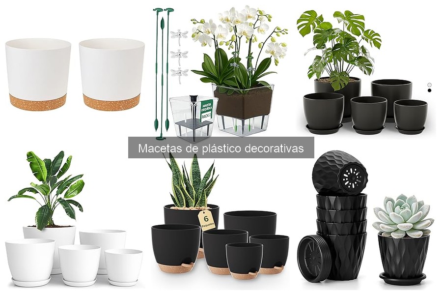 Cómo elegir la maceta de plástico perfecta para tus plantas