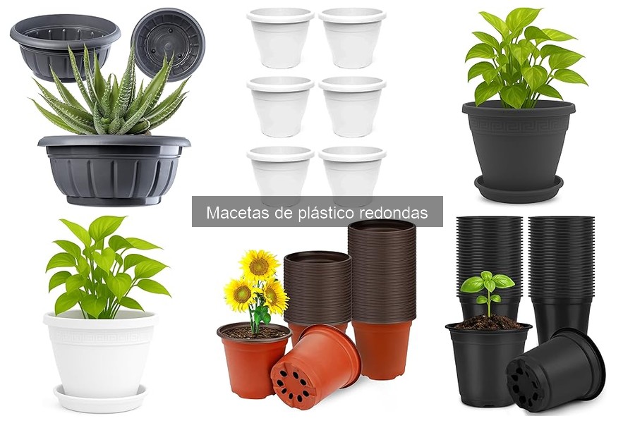 Cómo elegir la maceta de plástico redonda adecuada
