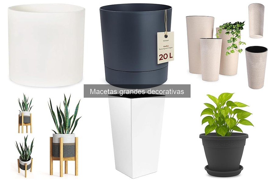 Cómo elegir la maceta grande decorativa perfecta