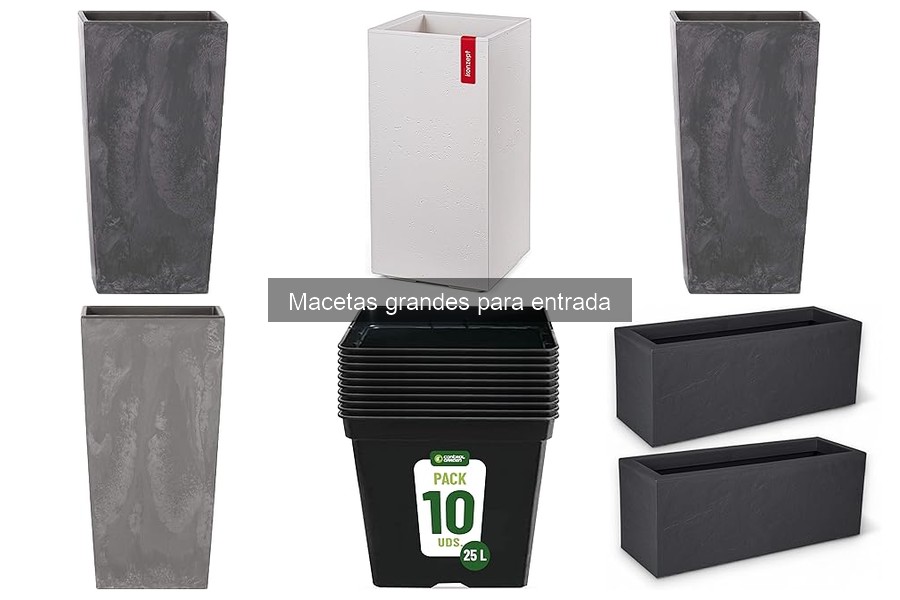 Cómo elegir la maceta grande ideal para tu entrada
