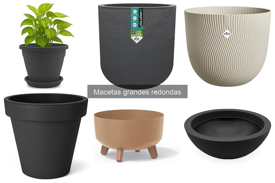 Cómo elegir la maceta grande redonda ideal para tus plantas