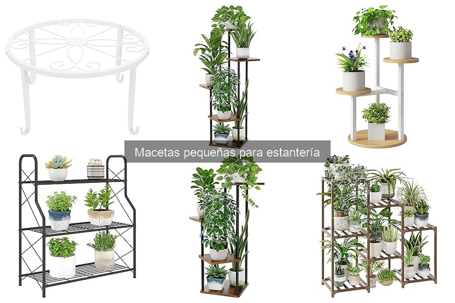 Cómo Elegir la Maceta Pequeña Ideal para tu Espacio